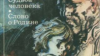 Кракен сс