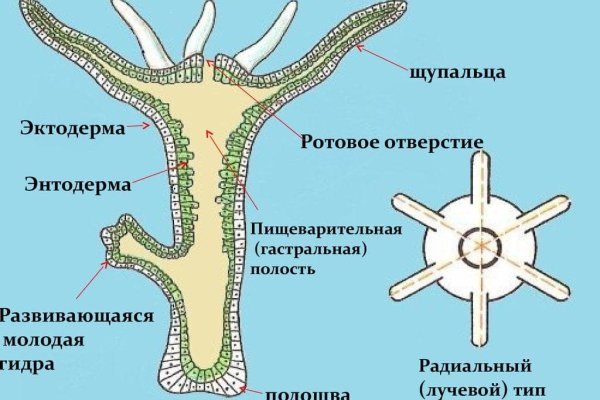 Взломали кракен аунтификатор