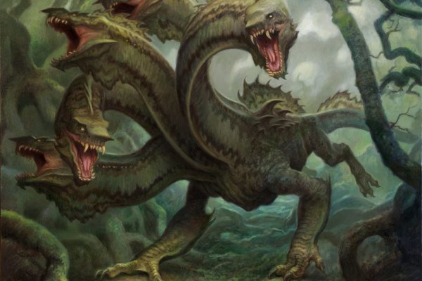 Kraken official